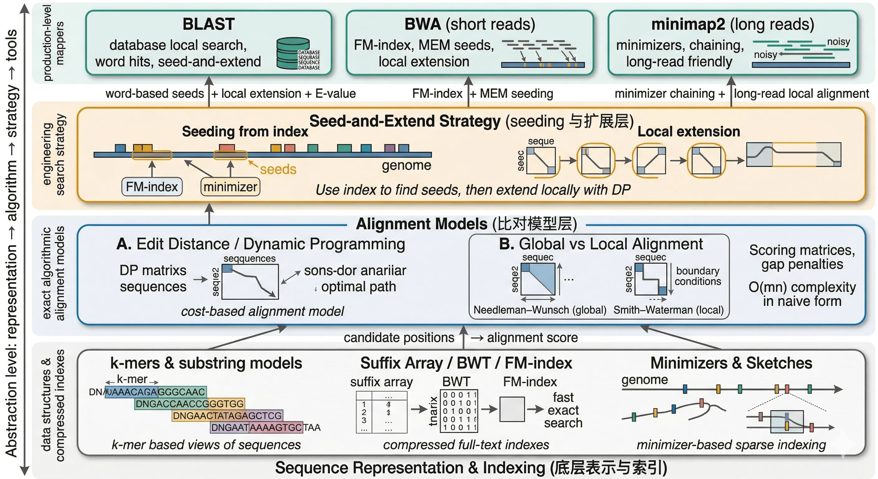 Layered diagram showing sequence representations, alignment models, seed-and-extend strategy, and real-world tools like BLAST, BWA, and minimap2