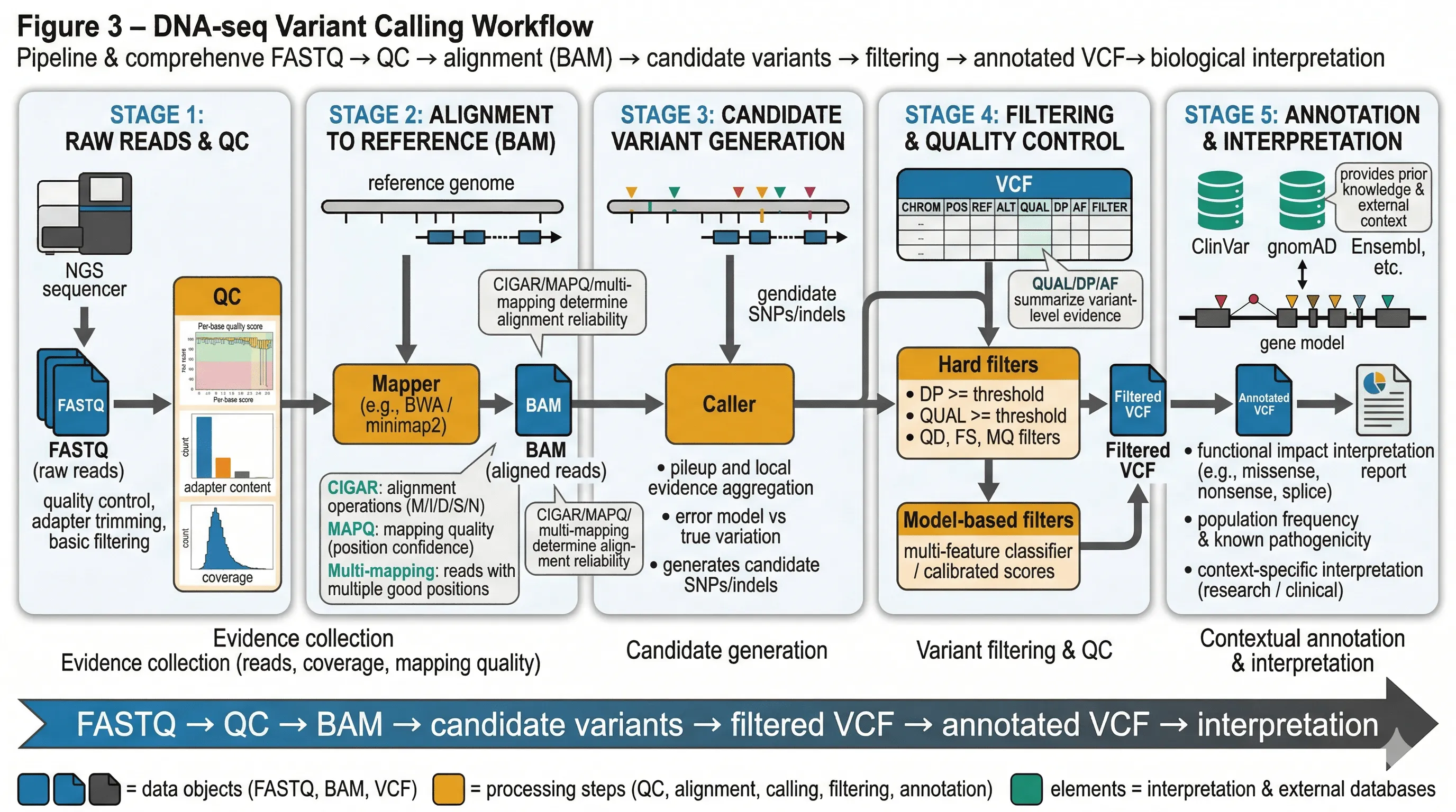 DNA-seq variant calling pipeline from FASTQ through QC, alignment to BAM, candidate variants, filtering, and annotated VCF/interpretation